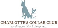 Charlotte’s Collar Club Logo